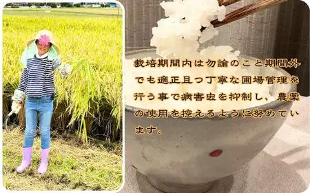 定期便 令和8年産 新米 京都丹波産 キヌヒカリ 5kg×9回 計45kg 白米 精米