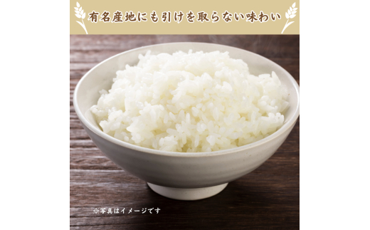 利根町産コシヒカリ　精米10kg ／ 米 こめ コメ お米 おこめ コシヒカリ こしひかり 令和7年産 白米 精米 ご飯 ごはん 10kg 送料無料