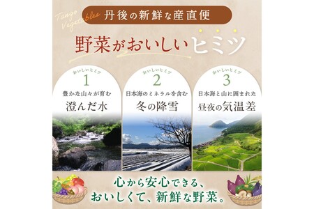 直売所直送 【訳あり】「京都・京丹後産 季節の野菜」お任せ詰め合わせBOX（3品）＋コシヒカリ精米2kg 定期便3回