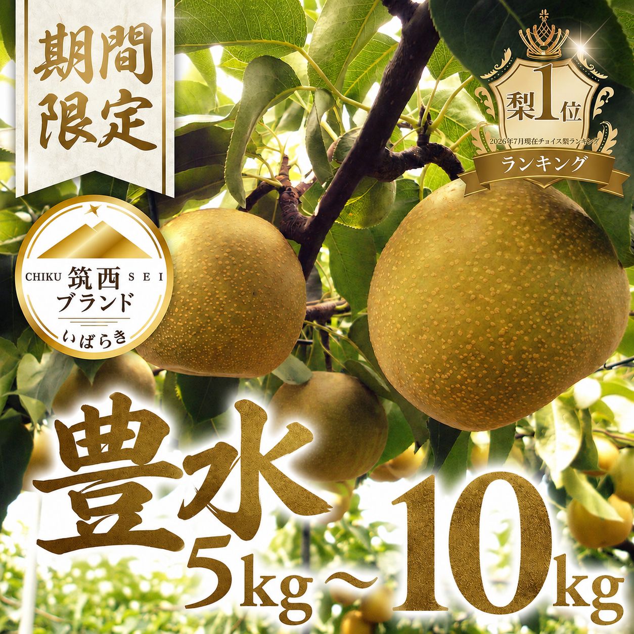 【ふるさと納税】 梨 豊水 3kg 5kg 10kg なし 先行予約 ナシ ブランド梨 和梨 ほうすい ほうすい梨 豊水梨 秀品 あり 贈答用 贈答 3キロ 5キロ 10キロ 果物 くだもの フルーツ デザート 大人気 甘い 果汁 水分 たっぷり 夏 酸味 果肉 秋 味覚 旬 2026年産 みずみずしい