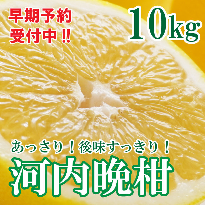 
                  【先行予約 2026年6月ごろ発送開始】河内晩柑 ばんかん 約 10kg 家庭 柑橘 かんきつ フルーツ 果物 くだもの 厳選 愛媛 みかん 蜜柑 愛南 ご当地 ブランド 野菜 サラダ ピール ゼリー お菓子 デザート マルエム直販 (なくなり次第終了)
                