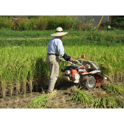 ふるさと納税 菊池市 菊池掛け干し清流米　玄米　5kg |  | 01
