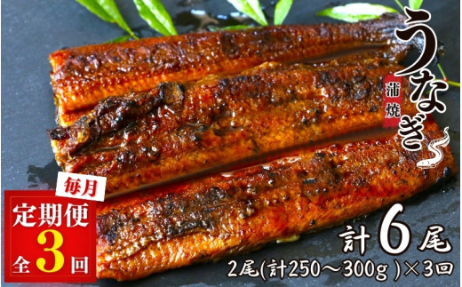 【3カ月定期便】うなぎ蒲焼き2本セット×3回 / 和歌山 田辺 うなぎ 鰻 かば焼き うな丼 うな重 国産 鰻丼【kpy015-tk】