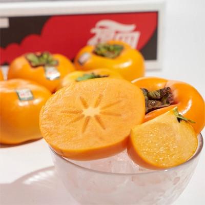 ふるさと納税 大木町 福岡産ブランド 柿 秋王 約3kg(8-12玉)(大木町)CO012 |  | 02