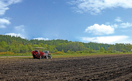 北海道産 カラフルじゃがいも 3種セット 計6kg 上士幌町加藤農場 馬鈴薯 芋 イモ 野菜 詰め合わせ ◆2025年12月配送予定