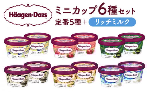 【1か月以内に発送】ハーゲンダッツ『ミニカップ12個セット（定番フレーバー＆リッチミルク味）』アイスクリーム アイス スイーツ デザート_440303