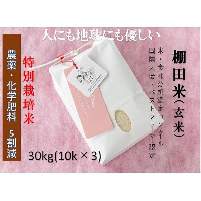 【ふるさと納税】【2025年産新米】【農薬化学肥料5割減】魚沼産コシヒカリ 苗場プリンセス 特別栽培米 玄米 30kg（10kg×3袋）1回～12回 選べる配送回数