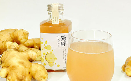 ピリっと生姜にスパイスの甘い香り！身体にも心にも優しい発酵ジンジャーシロップ！発酵ジンジャー（2本セット） スパイス 炭酸 シロップ[ARDA010]