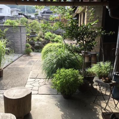ふるさと納税 香川県 津山桧　盆景　〈赤鉢〉 |  | 03