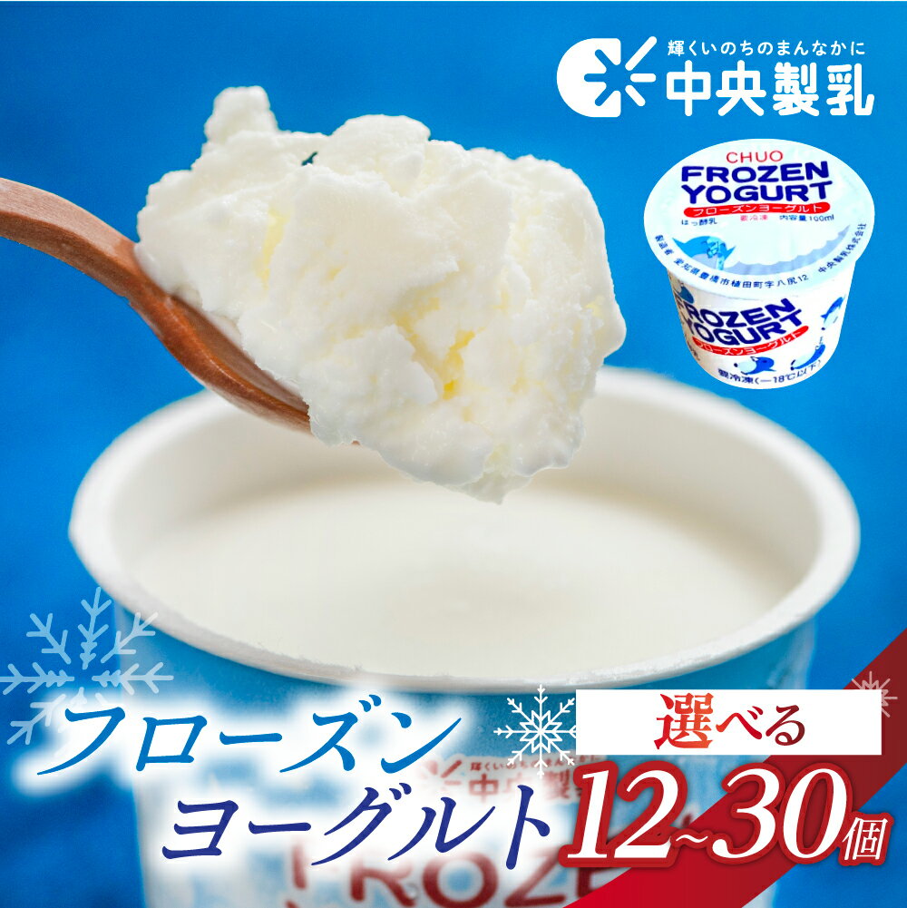 【ふるさと納税】☆4.9 中央製乳 フローズンヨーグルト 選べる 12個 30個 高評価 アイス スイーツ ヨーグルト 牛乳 使用 大容量 自宅用 簡易包装 訳あり 乳酸菌 乳 健康 腸活 デザート 人気 アイスクリーム おかし 大容量 豊橋市 8000円 15000円