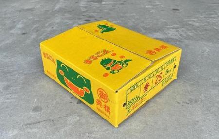 有田みかん 5kg 2Sサイズ 光センサー使用 高糖度