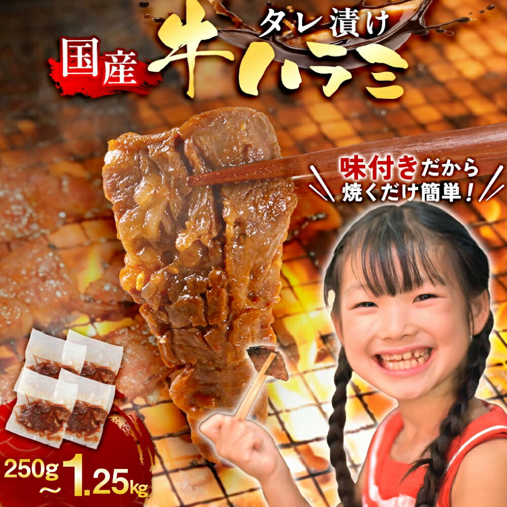【ふるさと納税】牛肉 焼肉 選べる 内容量 国産 特製たれ漬 牛ハラミ サガリ 250g〜1250g [宇美ホルモン 福岡県 宇美町 um40azp100001] ハラミ はらみ 牛はらみ 牛 肉 焼き肉 ホルモン タレ漬け たれ漬け