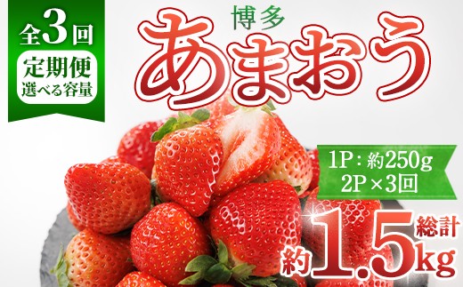 ＜全3回定期便・先行予約受付中！2027年2月上旬以降順次発送予定＞ 博多あまおう (総計約1.5kg) いちご 苺 フルーツ 果物 くだもの 福岡限定 家庭用 冷蔵 定期便 ＜離島配送不可＞【ksg1742】【農産物直売所ほたるの里】