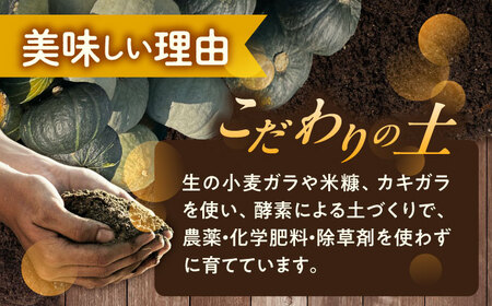【先行予約】北海道 かぼちゃ 訳あり ダークホース・とっておき・特濃こふき 3種類×1個 【9月中旬以降発送】足寄町/足寄アグリバイオ株式会社 [BEAC014]