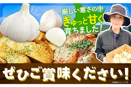 [0.4-194]　【令和6年発送先行受付】生にんにく（福地ホワイト六片種）500g