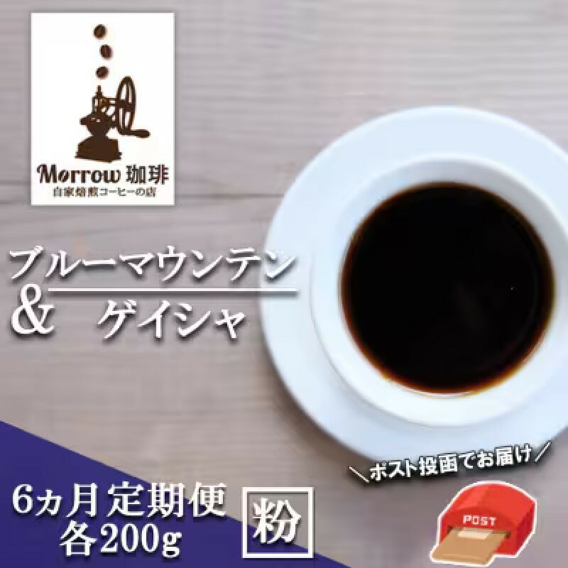 【ふるさと納税】定期便 6ヶ月 自家焙煎 ブルーマウンテン NO1・ゲイシャ (粉) 各200g×6ケ月 ポスト投函 コーヒー 珈琲 6回 お楽しみ Morrow珈琲