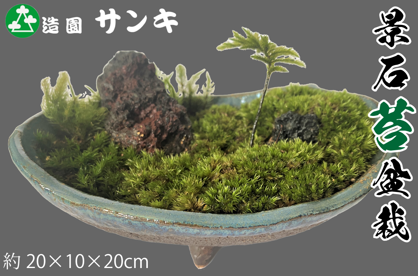 京都造園サンキ　景石苔盆栽[高島屋選定品］027N486