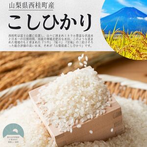 【2026年発送分先行予約】山梨県西桂町産コシヒカリ【精米】  国産 こしひかり  10キロ 2026年秋頃より順次発送予定【n0670-10_gou】