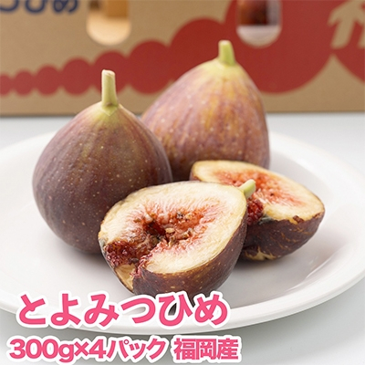 
                  福岡限定!ブランドいちじく「とよみつひめ」約300g×4パック(大野城市)_ いちじく イチジク 果物 ふるーつ フルーツ くだもの 国産 産地直送 福岡 高糖度 大粒 ギフト 贈答 送料無料 【1083967】
                