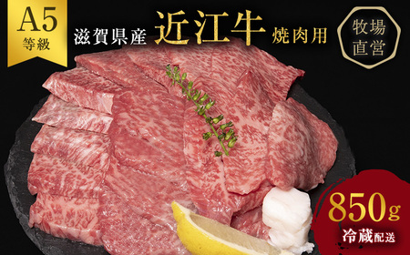 【850g】【A5ランク】【西川畜産】近江牛 焼肉用 A5雌牛 モモ カタ ウデ バラ 近江牛