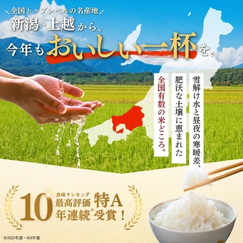 【最短3日配送】農家応援! コシヒカリ 10kg 緊急価格改定 新潟県 上越市産 令和7年産 お米 精米 米 ご飯 送料無料
