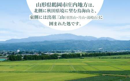 【令和7年産】【新米】特別栽培米 つや姫 5kg ＆ 黄金の郷里コシヒカリ 5kg 精米 合計10kg 山形県庄内産　鶴岡米穀商業協同組合