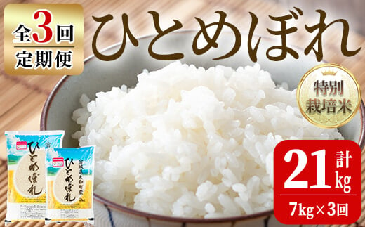 【令和6年産】＜3か月定期便＞特別栽培米 ひとめぼれ 7kg×3回(合計21kg) お米 おこめ 米 コメ 白米 ご飯 ごはん おにぎり お弁当 頒布会【農事組合法人若木の里】ta243