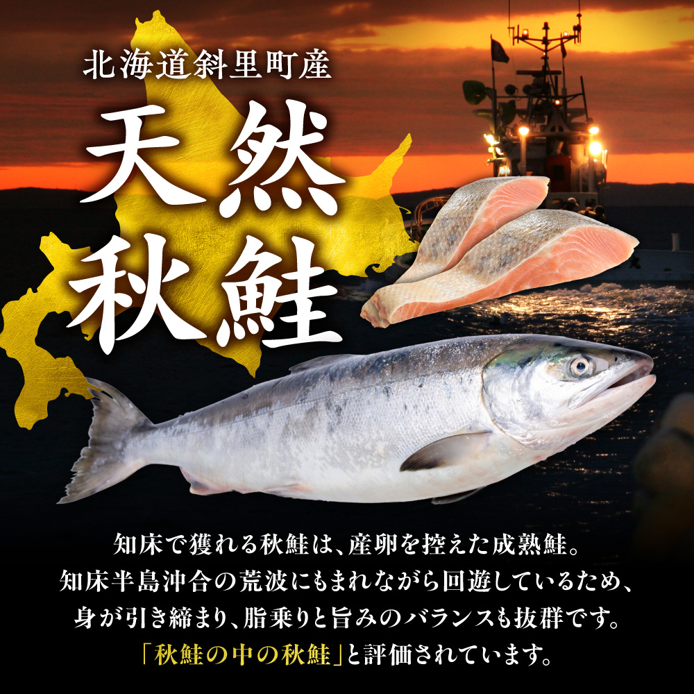 【訳あり】北海道斜里町産　無塩天然秋鮭切身 3kg【無添加】