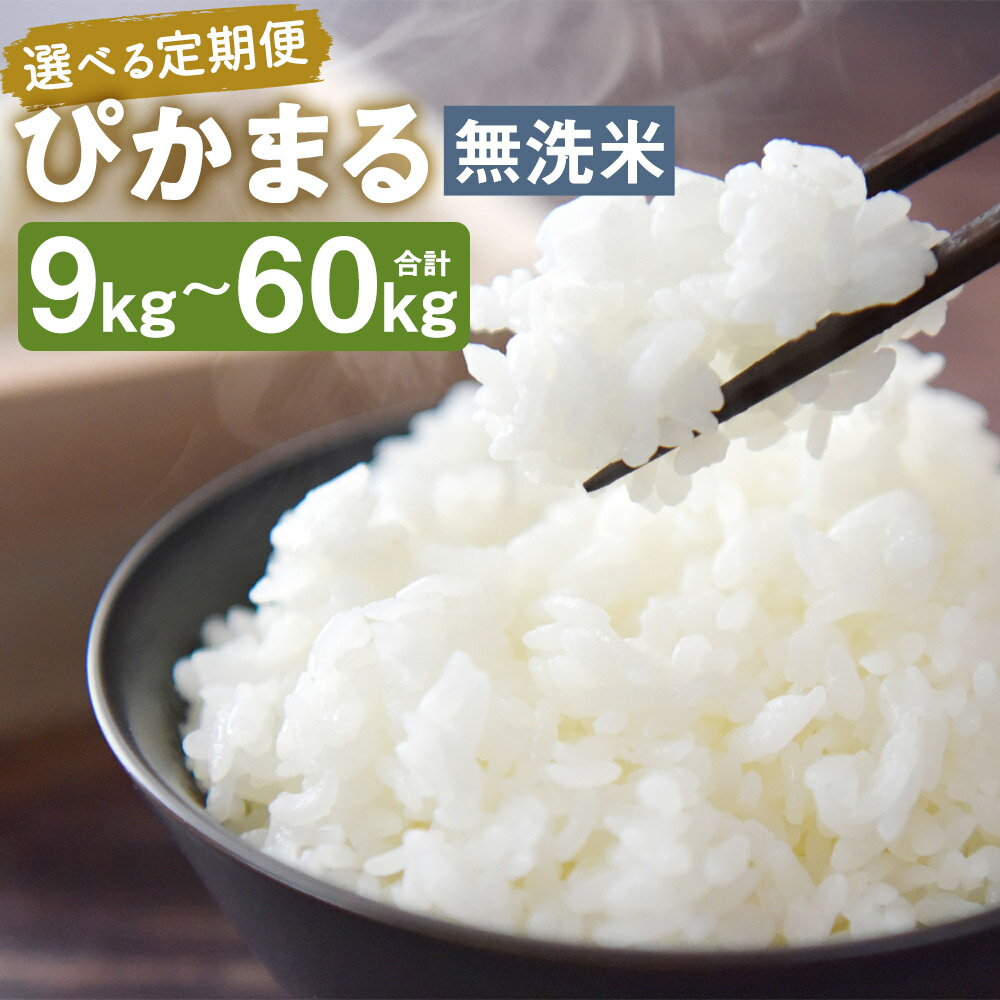 【ふるさと納税】【選べる定期便】【新米先行予約】低アミロース米 ぴかまる 無洗米 3kg/5kg 3ヶ月定期便/6ヶ月定期便/12ヶ月定期便 選べる内容量 保存袋付き お米 精米 栽培期間中無農薬 九州産 福岡県産 送料無料【2025年11月上旬より順次発送予定】