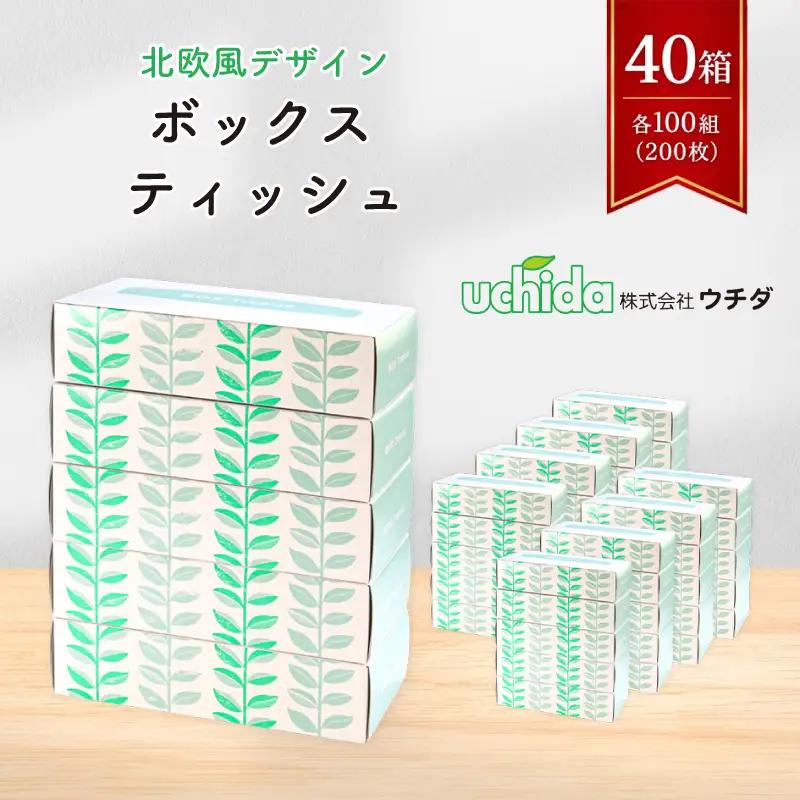ティッシュ 100組 40箱 ウチダ ティッシュ