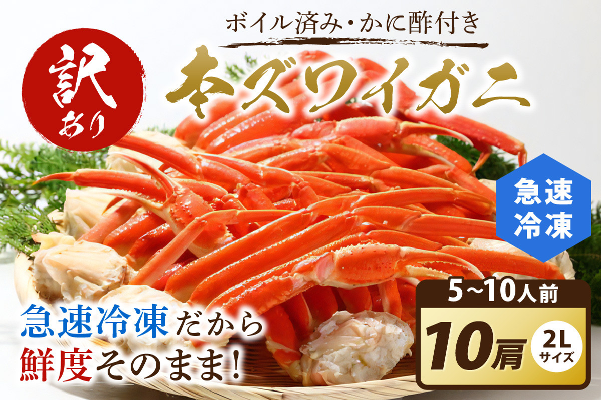 
            【訳あり！カニ酢付き】急速冷凍 ボイル済み 本ズワイガニ 2Lサイズ10肩　蟹・カニ・かに・ボイルカニ・ボイルズワイガニ・訳あり かに　YK00415
          