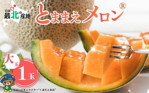 
                  【2026年7月下旬から発送】とままえメロン 1玉 1.6kg前後 大玉サイズ 北海道産 先行 予約 受付 赤肉 甘い 糖度14度 旬 産地直送 めろん フルーツ 果物 デザート 北海道 苫前町 とままえ rum08
                