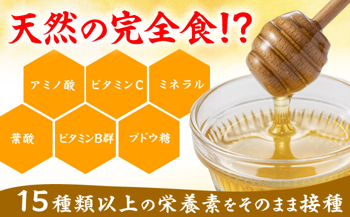 極国産巣みつ 620g 蜂蜜 はちみつ ハチミツ