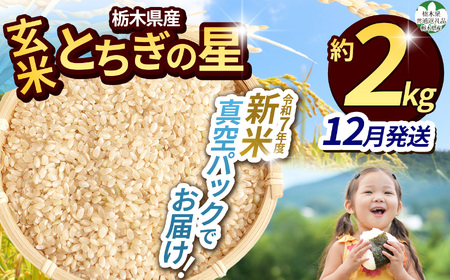 【栃木県共通返礼品】【先行予約】【ふるさと納税】【12月発送分】毎月500個限定！令和7年度新米 栃木県産とちぎの星（玄米真空パック) 約2kg  | 新米 栃木県産 とちぎの星 真空 パック 米  お米 玄米 もちもち ふるさと納税 栃木県 那珂川町 送料無料