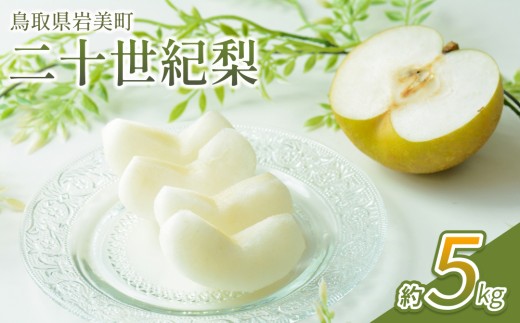 【先行予約】中野農園 梨 ”二十世紀梨” 5kg箱｜鳥取 岩美 梨 なし ナシ 20世紀梨 青梨 果物 フルーツ ※お届けは2026年8月下旬頃～【41026】