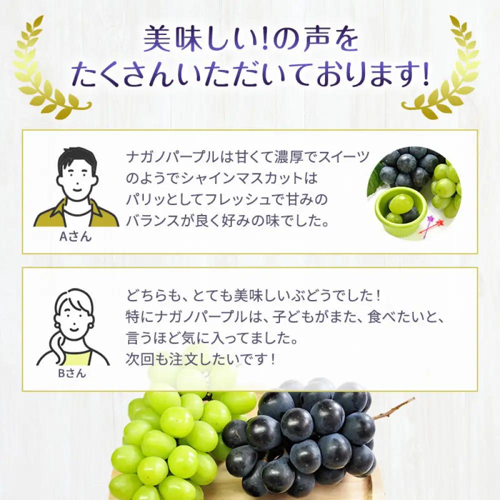 食べ比べ「ナガノパープル&シャインマスカット」約1kg 入【2026年9月以降発送予定】(さらしな青果) | ぶどう  シャインマスカット