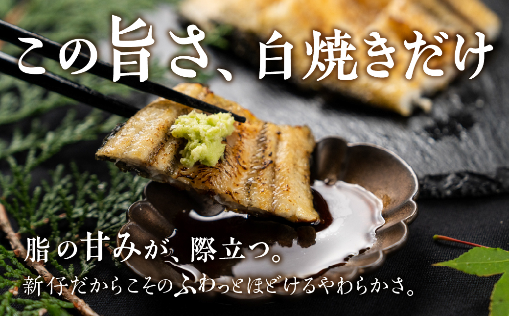 ≪先行予約！ 発送は7月28日≫ 極上 豊橋うなぎ 山義養魚 白焼 希少 厳選 国産 新仔うなぎ 若うなぎ 鰻 簡易包装 ウナギ 鰻 ギフト 配布 最高級 土用丑の日 ギフト 冷凍 お取り寄せ 送料無