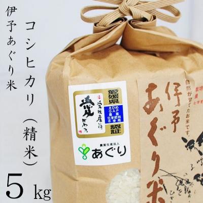 ふるさと納税 松前町 ★令和7年産発送★　伊予あぐり米「コシヒカリ」(精米5kg)