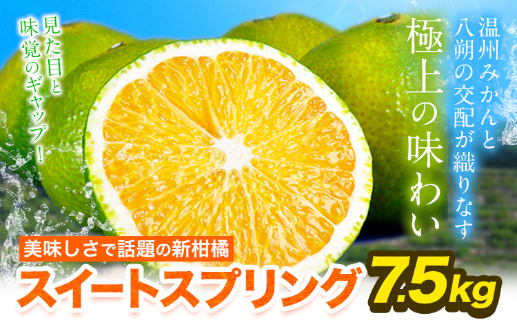 
            スイートスプリング 7.5kg 熊本県産 送料無料 旬 の みかん 熊本産 取り寄せ (3L～Sサイズ/3L-S混合) 《12月下旬～1月下旬出荷》熊本県 津奈木町 柑橘 希少品種 スイートスプリング 柑橘 果物 スイスプ 旬 の みかん 柑橘 温州みかん
          