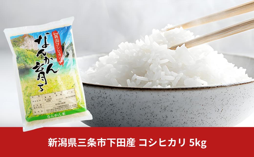 
            新米 先行予約 コシヒカリ 5kg 新潟県三条市下田産 こしひかり 令和7年産 [JAえちご中越]【010S242】
          