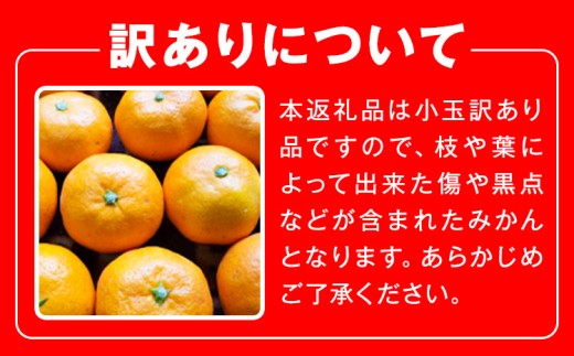 小玉 宮川早生みかん 訳あり 約10kg (サイズおまかせ) うえやまファーム《2026年11月下旬-2027年1月上旬頃出荷》 和歌山県 日高川町 旬 新鮮 果物 柑橘 フルーツ 国産 送料無料 ミ