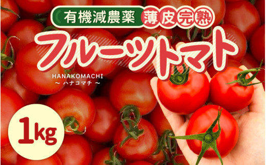 【先行予約】 有機減農薬 フルーツトマト 1kg 薄皮完熟 【2026年10月上旬以降順次発送予定】 【とまと ミディトマト 中玉トマト 野菜 やさい 新鮮 生食 アレンジ ジャム トマトソース サラダ 産地直送 国産】 [A-16206]