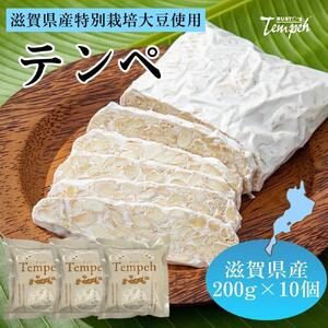ルストテンペ(滋賀県産特別栽培大豆使用)10個セット テンペ