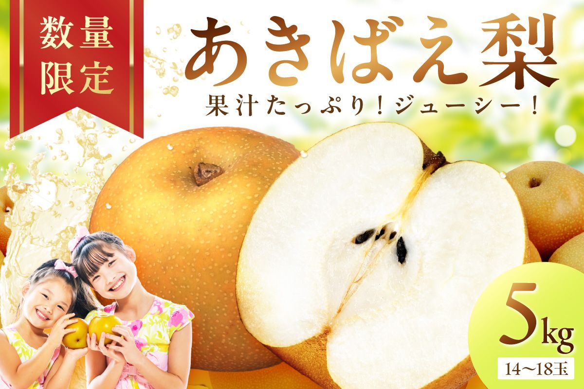 【先行予約／数量限定200】京丹後産 あきばえ梨 5kg（14～18玉）（2026年8月中旬～発送）　DE00162