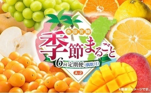 
                  【偶数月 6回定期便】旬 人気 フルーツ 南国宮崎産 太陽のタマゴ きんかん シャインマスカット 日向夏 梨 みかん 柑橘 マンゴー ぶどう 果物 詰め合わせ＜A-2コース M120＞
                