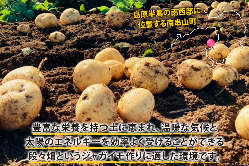 【期間限定発送】 じゃがいも なんぐしデジマ 秋作 5kg 大きめサイズ [なんぐしデジマプロジェクトチーム 長崎県 雲仙市 item1910] ジャガイモ 野菜 秋じゃが 秋じゃがいも 5キロ 期間