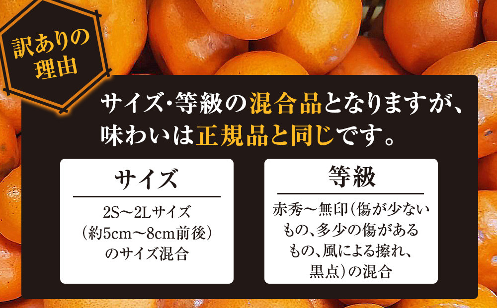 有田みかん専門店 有田の太陽®ファミリー 早生または晩生 有田みかん 4.5kg＋補償分100g 山採れ・サイズ・等級 混合