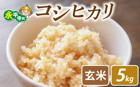 【先行予約】永平寺町飯島産　コシヒカリ  【玄米】５kg【2025年10月中旬以降順次発送開始予定】/ふるさと納税 米 5kg 福井県 永平寺町 の おいしい お米 発祥の地 こめ おこめ 白米 精米 国産 限定 ごはん ご飯 白飯 ゴハン 玄米 ふるさと ランキング 人気 おすすめ 送料無料 産地直送 農家直送 福井県 永平寺 国産米 [B-074002] 