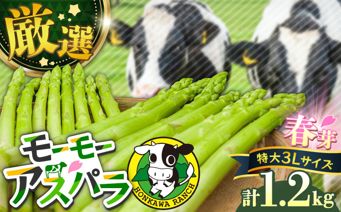 
            【先行予約】数量限定！モーモーアスパラ春芽 3L 1.2kg（3月下旬より順次発送） 超極太のみ厳選！ 1.2kg 日田市 / 有限会社本川牧場 [ARAI033]
          