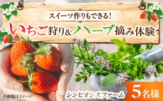 招待券 いちご狩り・ハーブ摘み体験ができるシンビオシスファーム招待券(5名まで可) / いちご狩り ハーブ摘み 体験チケット チケット レジャー アウトドア ファミリー 家族 デート 観光 旅行 遊び 休日 満喫 お出かけ アクティビティ 施設 農業体験 自然体験 子供連れ 子連れ 思い出 滋賀県 目録 景品 コンペ ギフト / 栗東市 / ヤンマーシンビオシス株式会社 [BIBY011]